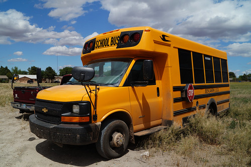bluebird schoolbus minibus microbirdbygirardin microbirdg5 benjaminisd