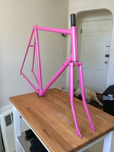 Bike frame back from GoodHues!