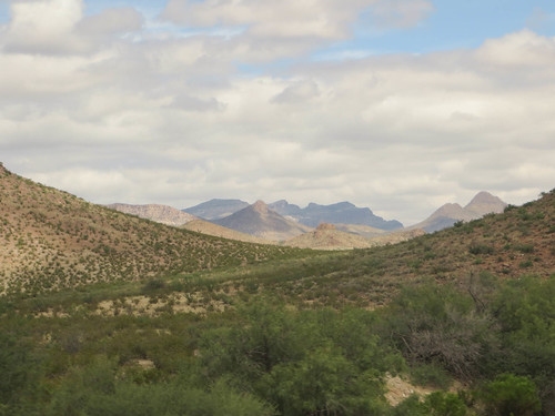 arizona desert