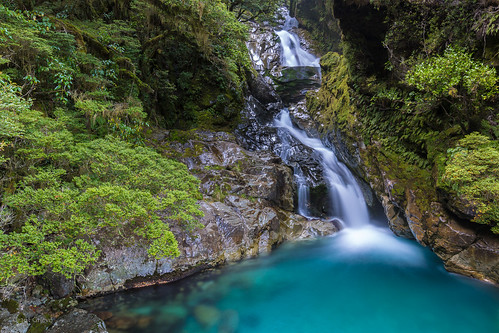 road bridge colour creek waterfall bush falls clear valley milford fiordland hollyford