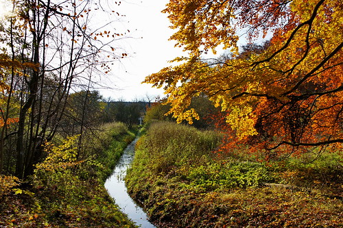autumn sunset orange sun fall germany paul deutschland europe forrest hiking sony mecklenburgvorpommern nex baumgart nex5