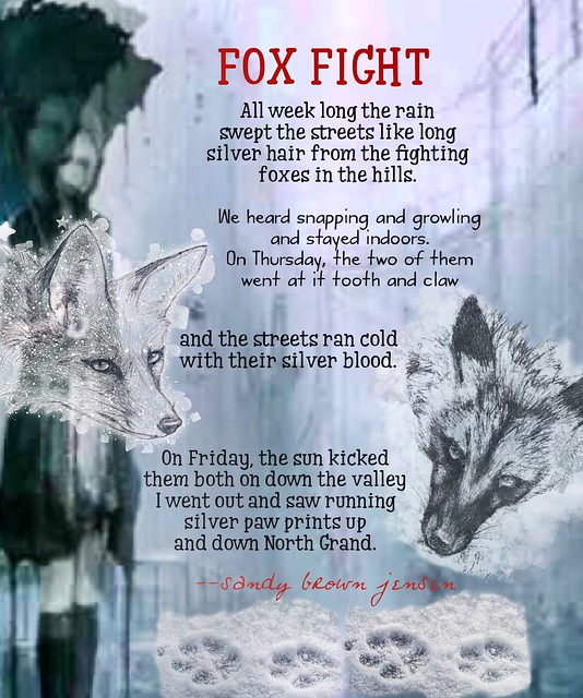 Fox Fight