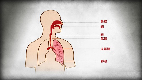 PM2.5能深入肺泡透進血管。