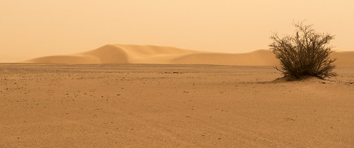 desert sudan nubia sanddunes olddongola