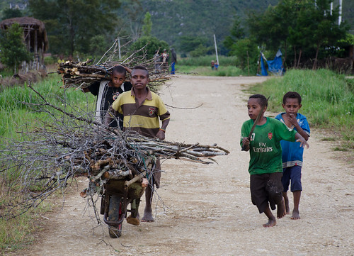 indonesia papua wamena firewood wheelbarrow children baliem baliemvalley