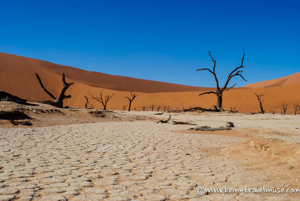 namibia dune 45
