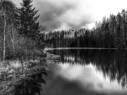 lake nature clouds easter landscape spring woods sweden sverige innsjø sjö