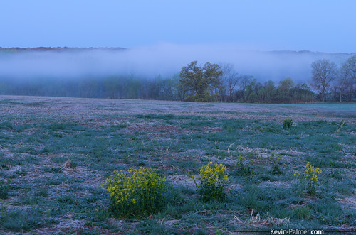 morning blue trees cold green field grass yellow fog sunrise dawn early spring frost foggy frosty clear missouri april wildflowers luray kevinpalmer tamron1750mmf28 pentaxk5 heathmemorialconservationarea