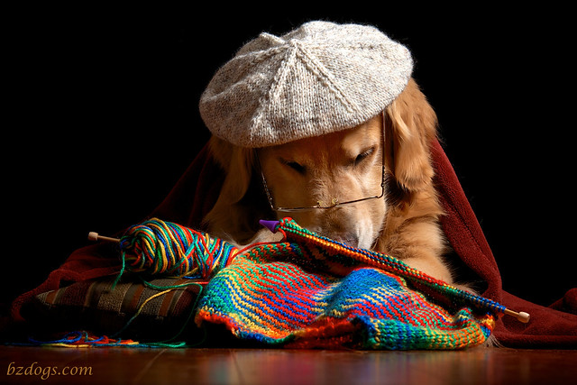 Real Goldens Knit