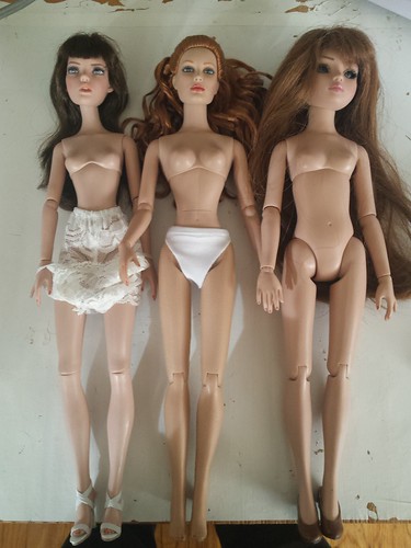 Tonner body comparsions