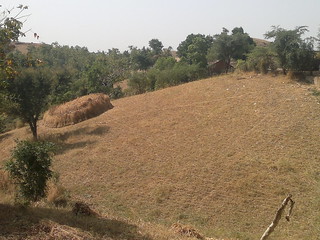Bhils turned the undulating land into fertile farms over the years.