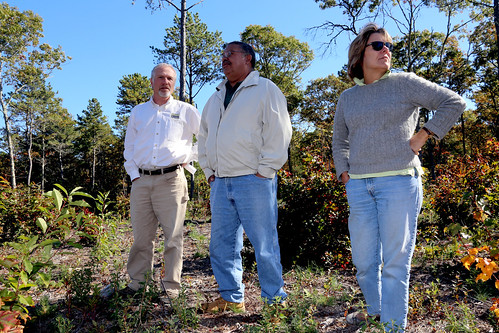 Leaders from The Trustees of Reservations, Mashpee Wampanoag Tribe and Orenda Wildlife Land Trust look at habitat restoration work that benefits the New England cottontail. NRCS photo.
