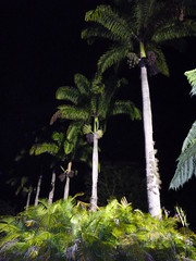 Jayuya, Hacienda Gripinas night shot