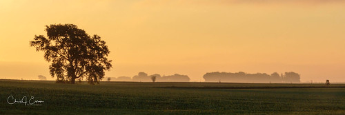 sunrise farm landscape