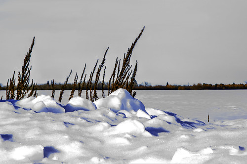 winter canada cold landscape nikon alberta lonely icy frigid motionless nikond80