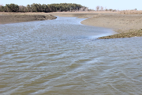 creek virginia marsh tidal upshur