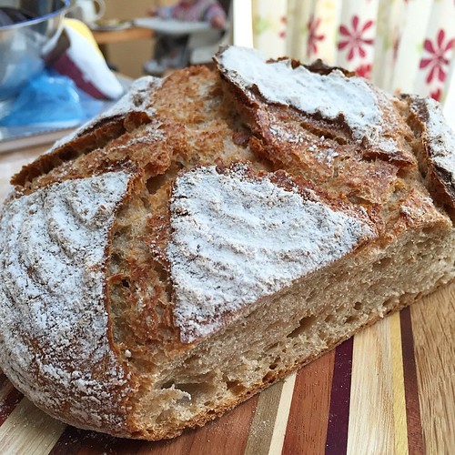 Yesterday's no knead bread, this morning's toast.