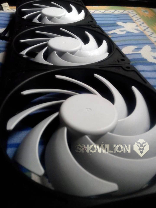 snowlion13