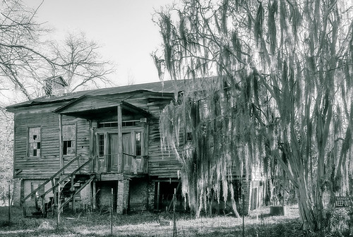 blackandwhite bw usa building abandoned home architecture rural moss cabin south alabama cottage structure southern spanishmoss ghosttown residence selma toned antebellum dilapidated cahawba cahaba oldsouth dallascounty oldcahawba orrville alabamahistoricalcommission oldcahawbaarchaeologicalpark