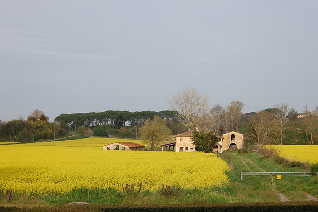 campagna Toscana