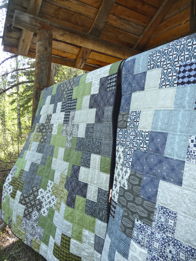 Cora Quilts: Curious Nature for Boys