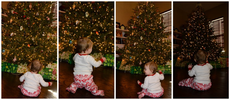 checking out the tree