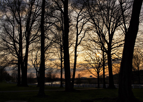 park trees sunset nj carteret