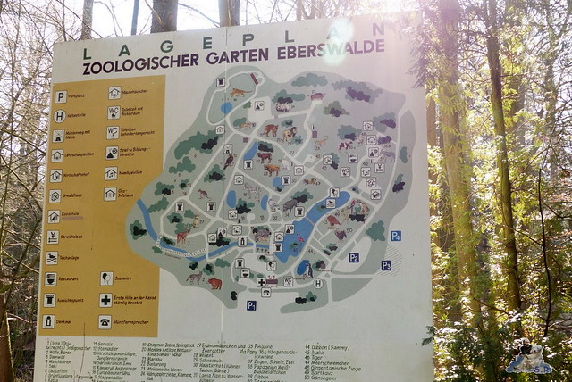 Zoo Eberswalde 22.03.2015   5