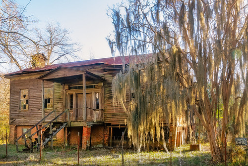 usa building abandoned home architecture rural moss cabin south alabama cottage structure southern spanishmoss ghosttown residence selma antebellum dilapidated cahawba cahaba oldsouth dallascounty oldcahawba orrville alabamahistoricalcommission oldcahawbaarchaeologicalpark