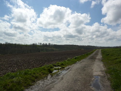 road field landscape countryside route paysage campagne champ pasdecalais blangervalblangermont