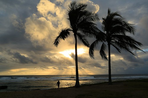 photosbymch landscape silhouette beautyatthebeach beach sunset palms sky pacificocean mailibeach waianae oahu hawaii usa canon crepuscularrays maipalaoabeachpark 5dmkiii inexplore explored 20000views