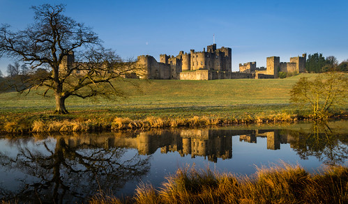england sun reflection tree castle sunrise river unitedkingdom duke alnwick northumberland northumbria rise aln