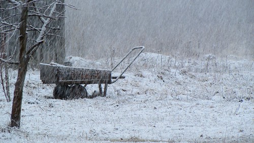 snow nature landscape spring village russia snowstorm april snowfall anomaly россия yaroslavlregion