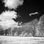IR in the Yorkshire Wolds 2