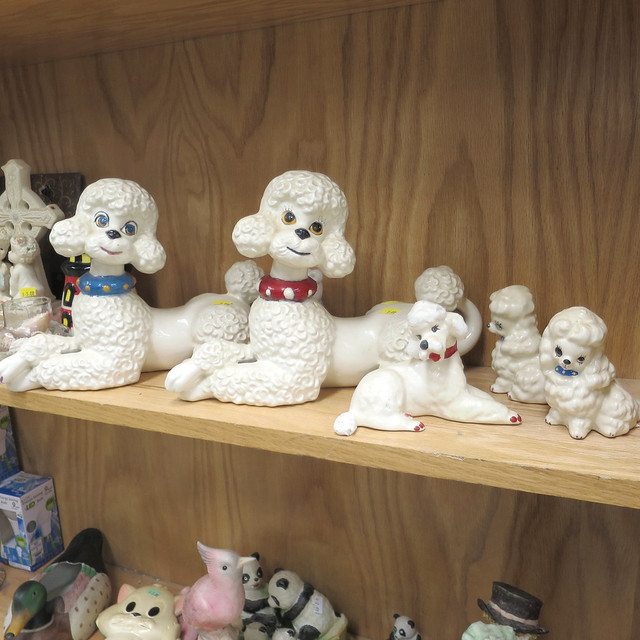 oodles of poodles