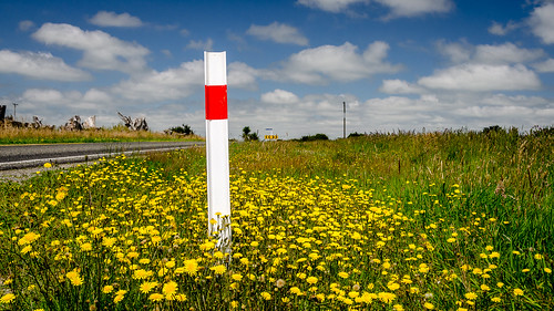 road newzealand sky cloud plant flower nature grass sign outdoor southisland lochiel
