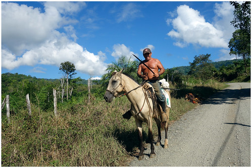 blue sky horse cloud landscape cheval costarica bleu ciel farmer nuages paysage habitant costarican sergek costaricain fermie