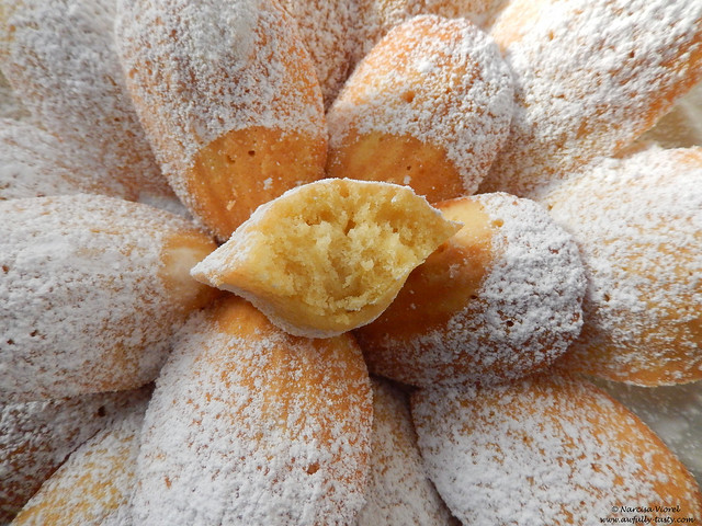 classic french madeleines