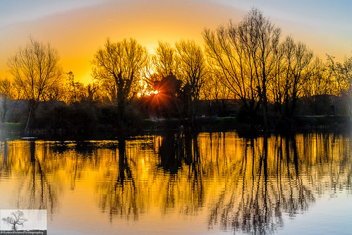 sky reflection water silhouette sunrise bedford bedfordshire felton countrypark priorycountrypark robertfelton fingerslake
