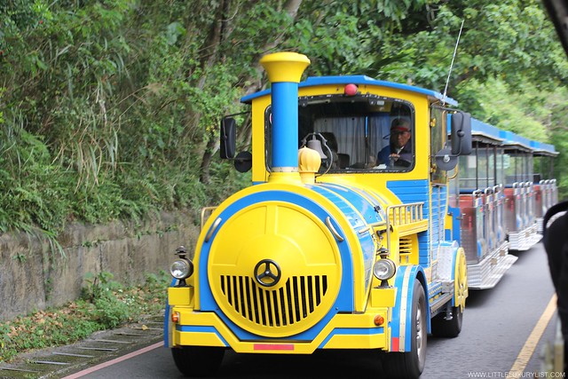 Taipei Zoo train