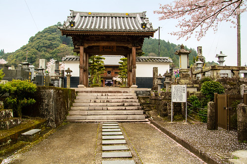 train temple sakura kumamoto kyushu hitoyoshi eikokuji
