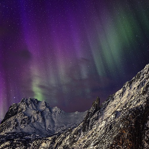 A final Northern light picture to close a beautiful aurora season 😊 Svolvær, Lofoten, Norway