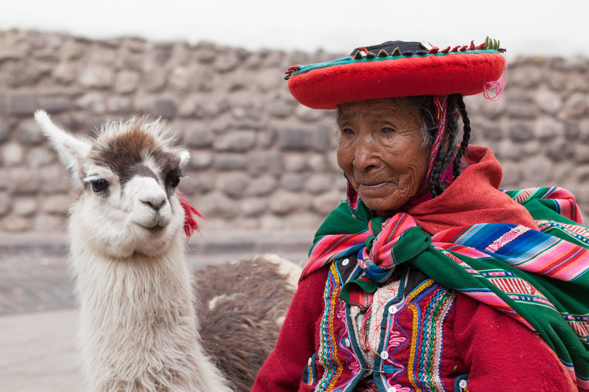 Everyone Loves a Llama, Cusco Portraits