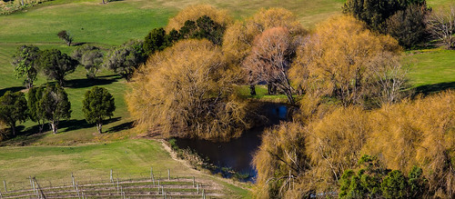 landscape shoalhaven nsw australia trees afternoon farm rural scenery greystump copyrightcolinpilliner countryside autumn fall willows vineyard pond coolangatta newsouthwales