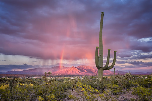 sunset arizona sky mountain storm southwest weather clouds landscape shower rainbow desert tucson monsoon saguaro picturerocks sonoran santacatalina bugeyedg