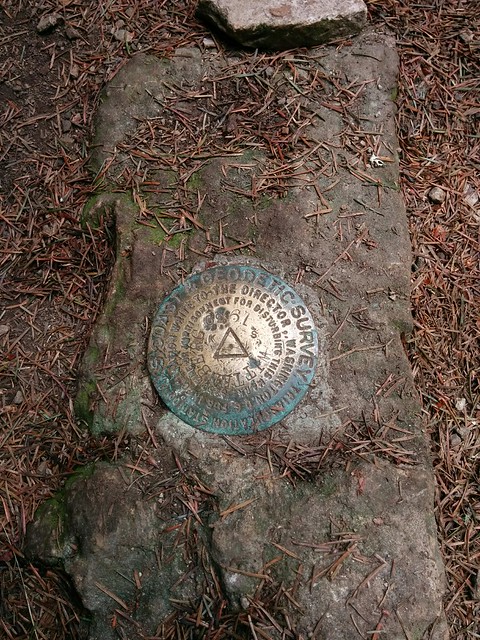 Mount Wittenberg Summit Marker