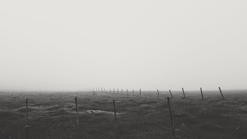 blackandwhite fog fence sad cloudy country faded campo nublado niebla valla trsite vsco