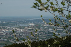 Overlooking downtown Chattanooga