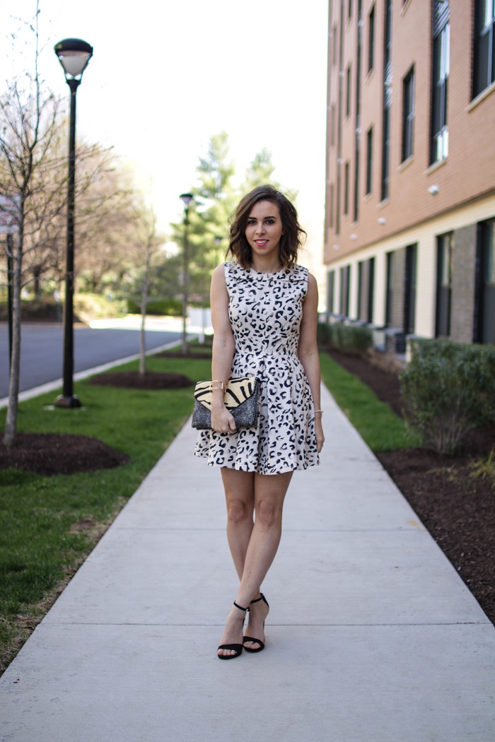 aviza style. a viza style. andrea viza. fashion blogger. dc blogger. spring style. keepsake fit and flare dress. leopard print.  ootd. outfit. 1