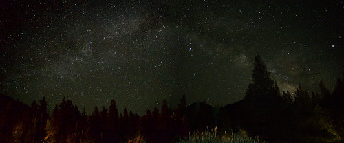 Meadow Milky Way